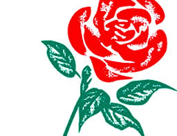 LABOUR LOGO 01 ROSE 01